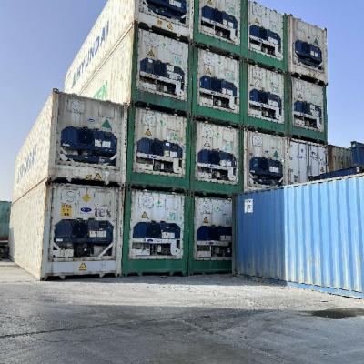 Olive Container Line